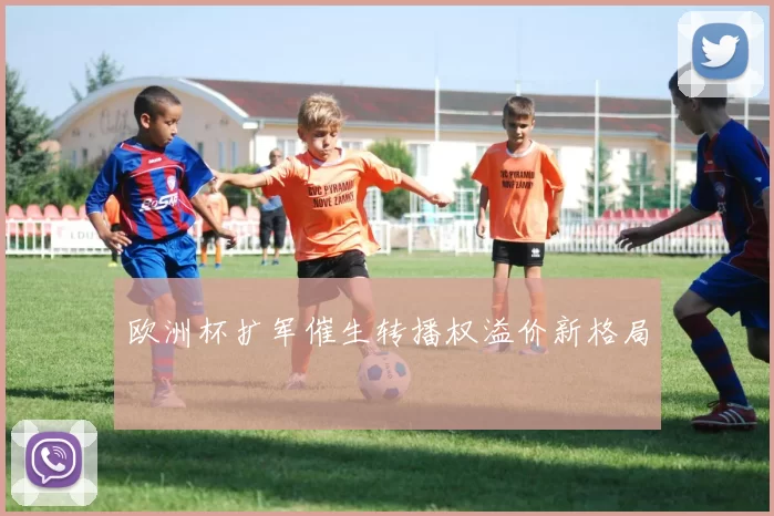 欧洲杯扩军催生转播权溢价新格局