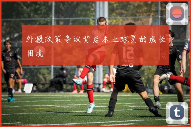 外援政策争议背后本土球员的成长困境