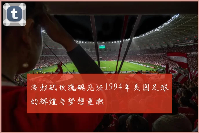 洛杉矶玫瑰碗见证1994年美国足球的辉煌与梦想重燃