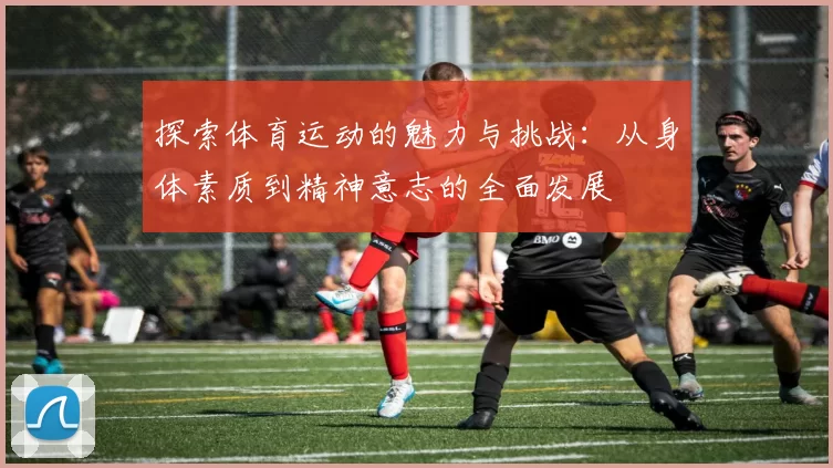 探索体育运动的魅力与挑战：从身体素质到精神意志的全面发展