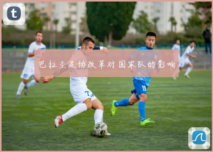 巴拉圭足协改革对国家队的影响